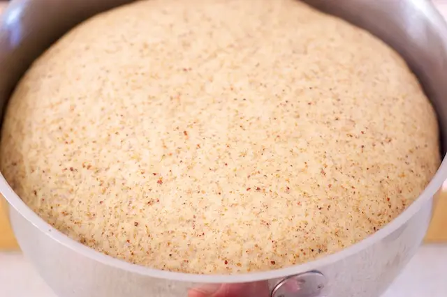 Allow to rise in a warm area until the dough has doubled in volume, 50 to 60 minutes.