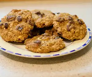 Chocolate Pumpkin Oatmeal Cookies