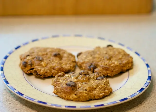 Chocolate Pumpkin Oatmeal Cookies