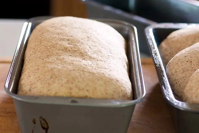 Second rise.