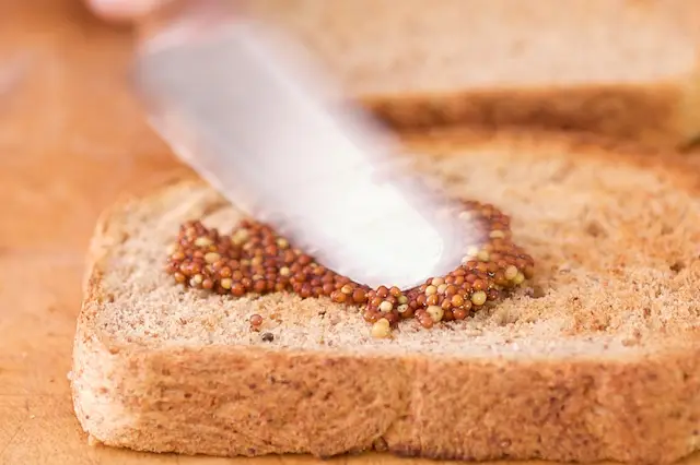 Spread the mustard evenly over one slice of toasted bread with a serving knife.