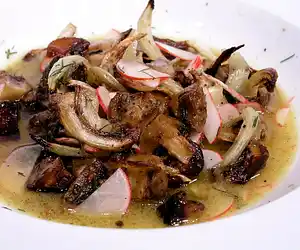 Roasted Mushroom & Fennel Salad with Radishes & Citrus Dressing