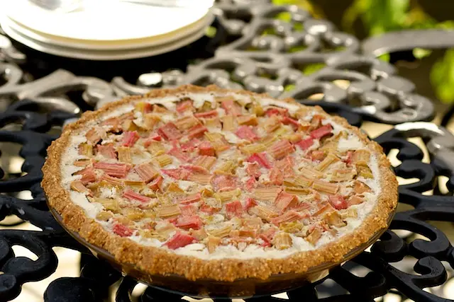 Rhubarb Custard Pie