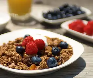 Applesauce Granola 