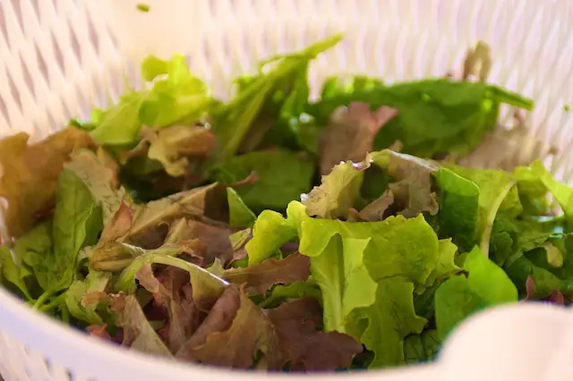 Prepare some mixed baby greens or any kind of green.