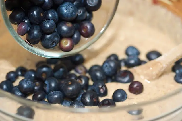 Add the fresh or frozen blueberries.