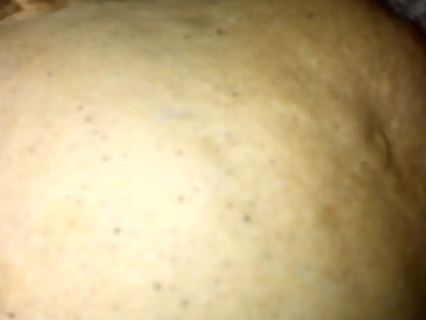 Caramel Chip Bread for the Bread Machine