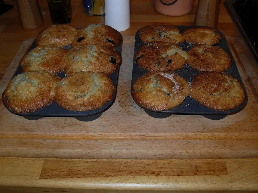 Blueberry Cupcakes or Muffins