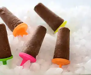 Fudgey Chocolate Popsicles