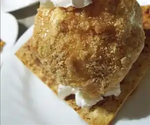 Cinnamon 'Fried' Ice Cream