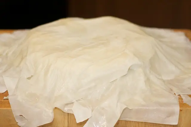 Lay another 4 sheets of phyllo over the filling. Coat each layer with cooking spray or brush with butter. 