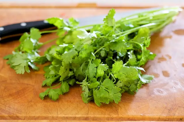 When it’s close to the end of simmering, wash the cilantro well and chop them up.