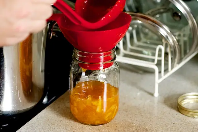 Pour hot, into hot jars, leaving ¼ inch head space. 