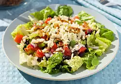 Black Bean, Veggie and Taco Salad with Lime Vinaigrette