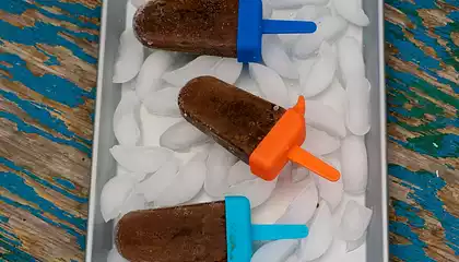 Coffee Fudge Popsicles