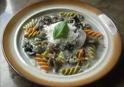 Olive and White Mushroom Soup with 3-colors Fusilli