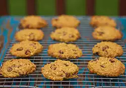 Pumpkin Oatmeal Chocolate Chip Cookies