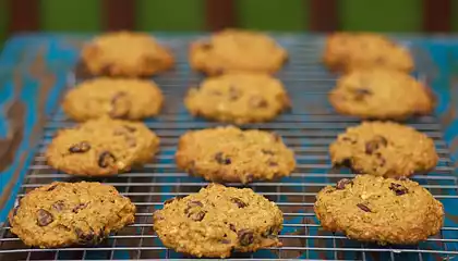 Pumpkin Oatmeal Chocolate Chip Cookies