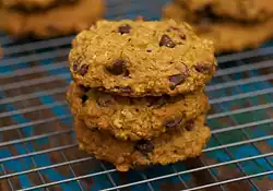 Pumpkin Oatmeal Chocolate Chip and Cranberry Cookies