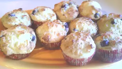 Vegan Blueberry Yogurt Muffins