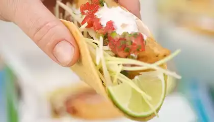 Rubio's Fish Tacos