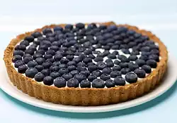 Blueberry Tart - Low Fat