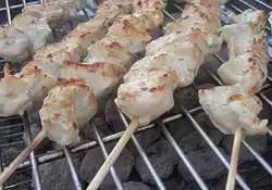 Chicken Souvlaki with Tzatziki Sauce