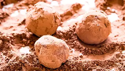 Truffes Au Chocolat (Chocolate Truffles)