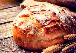 Homemade Whole Wheat Sourdough Bread