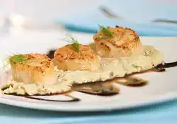 Scallops on Fennel Puree with Honey Balsamic Drizzle