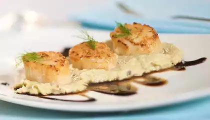 Scallops on Fennel Puree with Honey Balsamic Drizzle