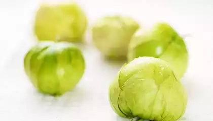 Tomatillo Chicken Enchiladas