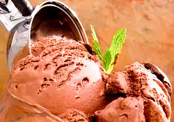 Mexican Chocolate Ice Cream