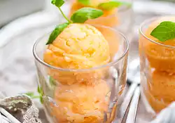 Cantaloupe Sorbet