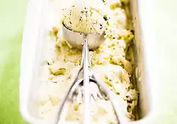 Choco-Mint Ice Cream