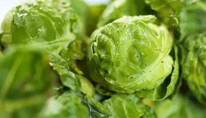 Brussels Sprouts Almondine