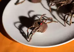 Halloween Chocolate Spiders