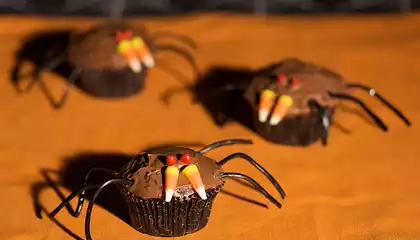 Halloween Spider Cupcakes