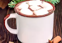 Hot Chocolate Milk