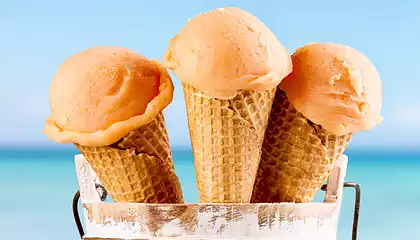 Cantaloupe Ice Cream