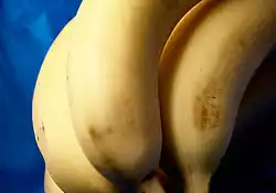 Instant Banana Pudding
