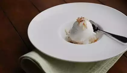 Coconut Sorbet