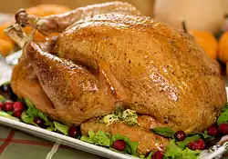 Herbed Turkey and Dressing