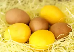 Natural Easter Egg Dyes