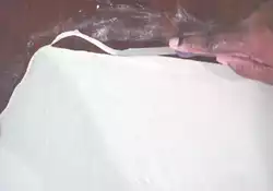 Homemade Noodles