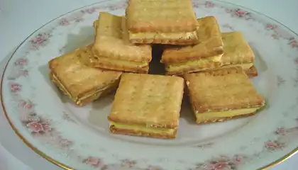 Homemade Sandwich Crackers