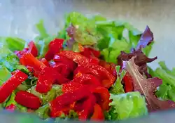 Roasted Bell Pepper, Crouton and Mixed Green Salad