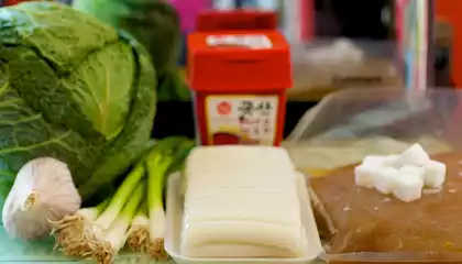 Korean Spicy Rice Cake, Cabbage and Leek Stew