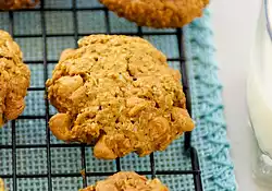 Oatmeal Scotchies