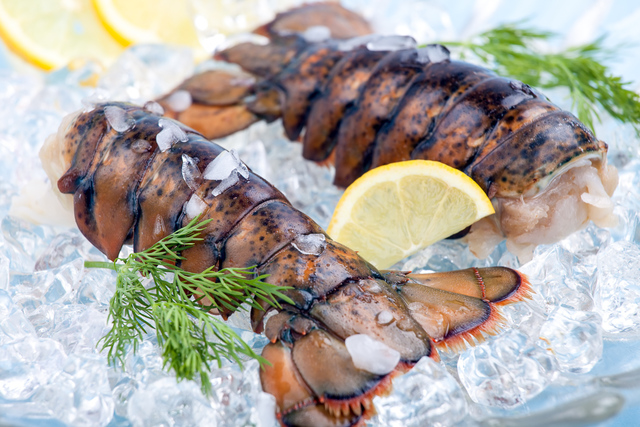 fresh lobster tails